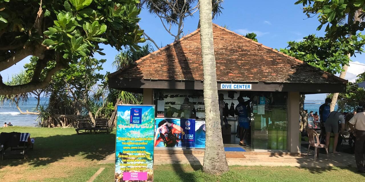 Dive_for_you_start Dive for you start