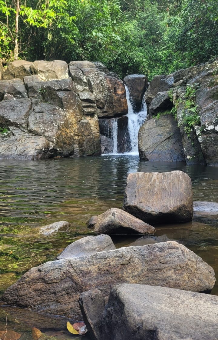 11_ECO-FRIENDLY TIPS TO VISIT SRI LANKA