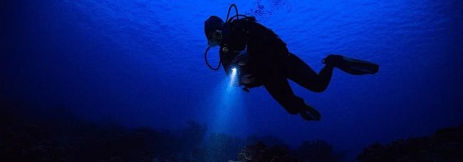 Night Diving in Sri Lanka Night Diving in Sri Lanka