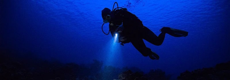 Night Diving in Sri Lanka