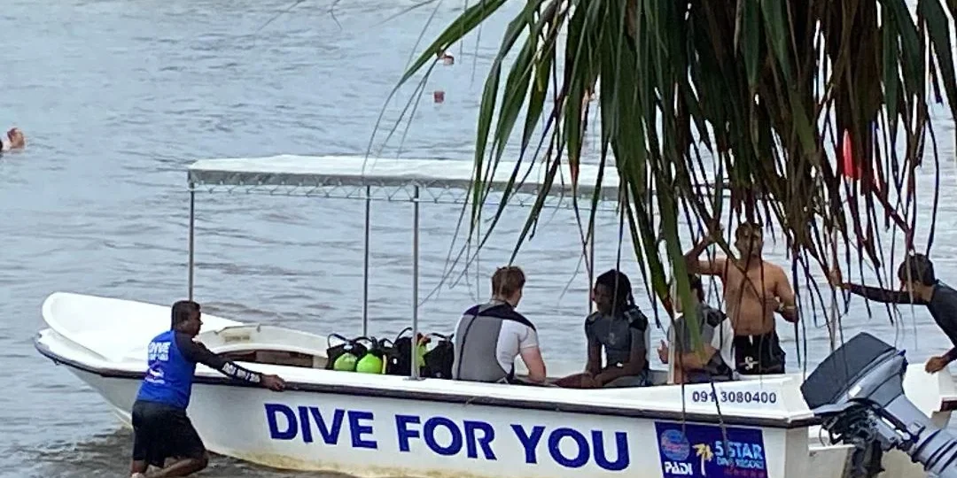 Small Dive Groups DIVE FOR YOU