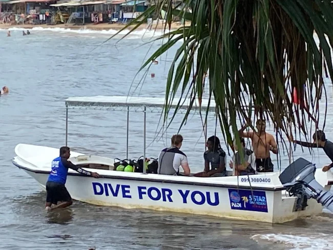 Small Dive Groups DIVE FOR YOU