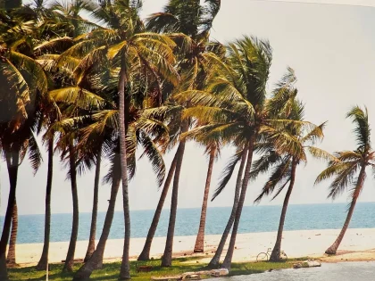 tropical beach Incredible Natural Diversity