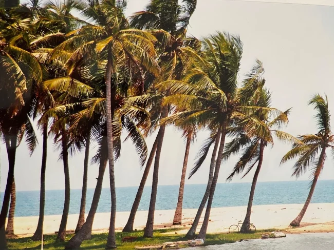 Incredible Natural Diversity