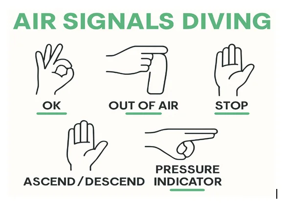 Divers Communicate Underwater