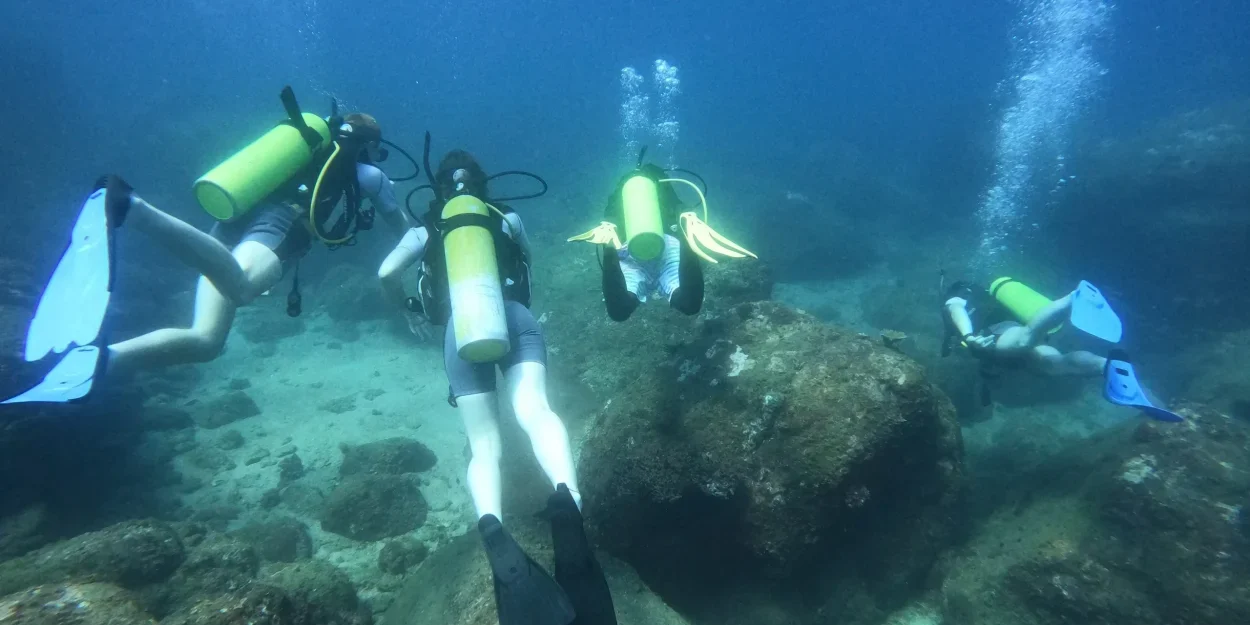 Plan a Diving Holiday