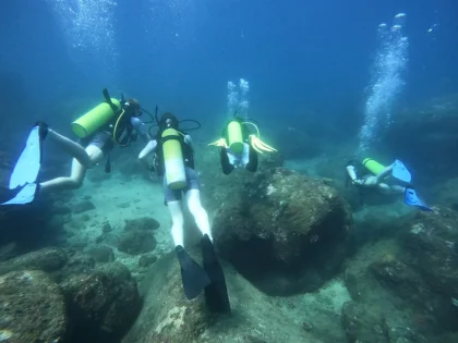 Plan a Diving Holiday Plan a Diving Holiday