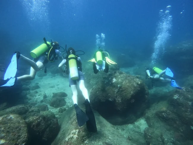 Plan a Diving Holiday