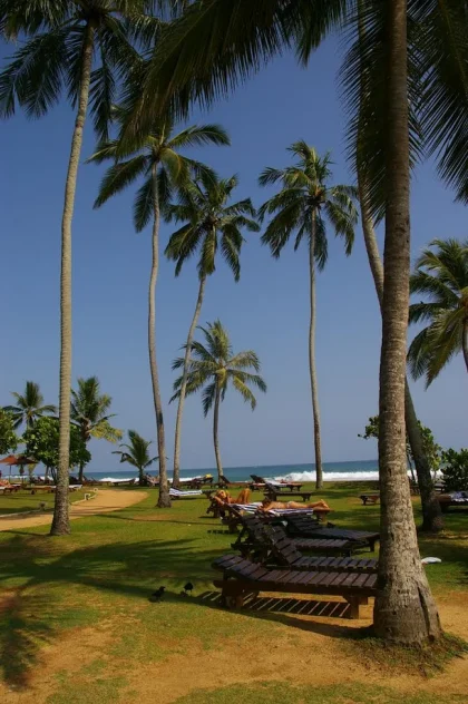 activities after diving
