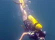 Dive Holidays in Sri Lanka